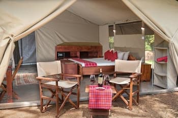 Hammerkop Migration Camp