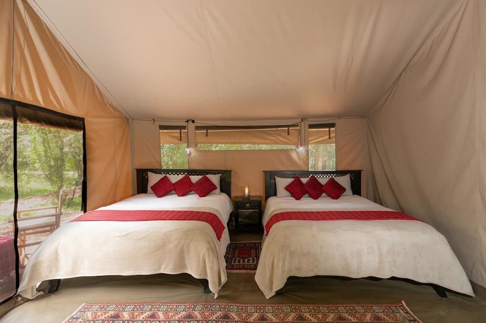 Hammerkop Migration Camp