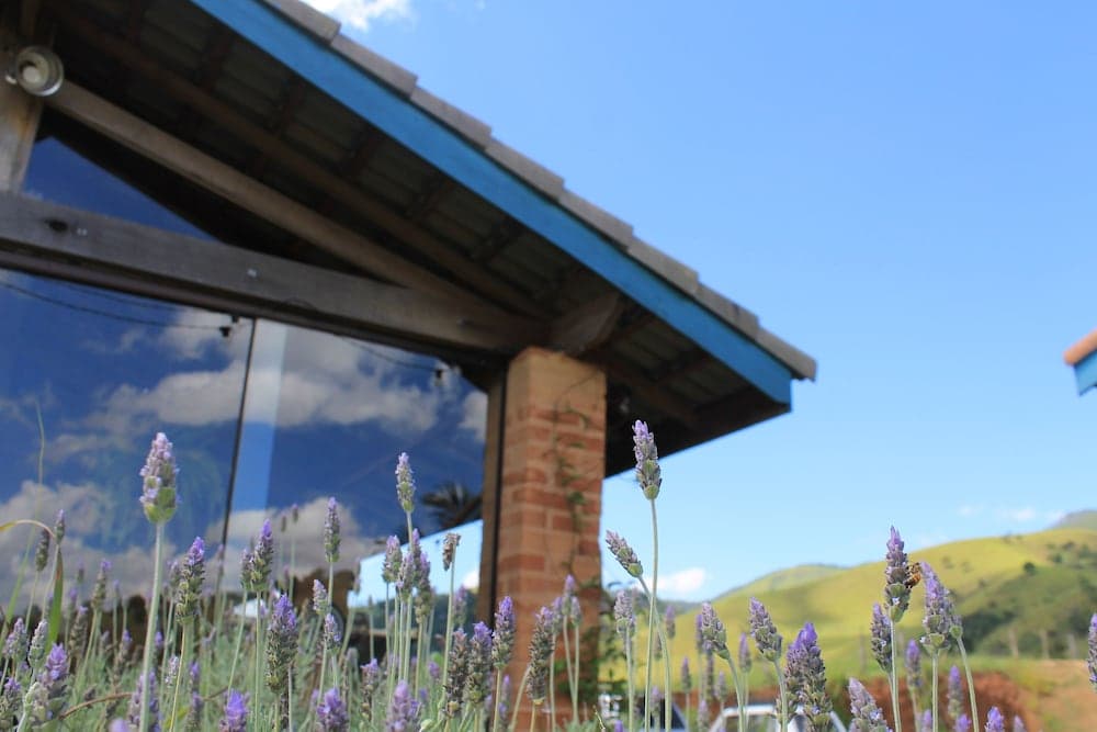 Pousada Capim Limão