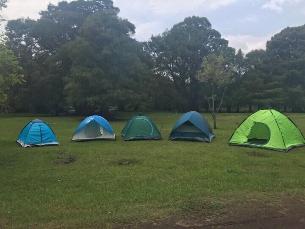 Anaya & Rodriguez Shop - Hostel