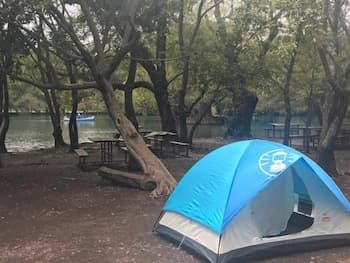 Anaya & Rodriguez Shop - Hostel