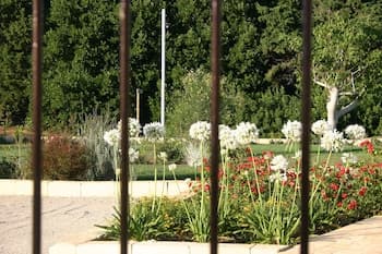 Tenuta Vigna Corallo