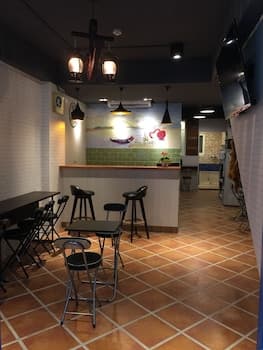 Tourist Bunny - Hostel