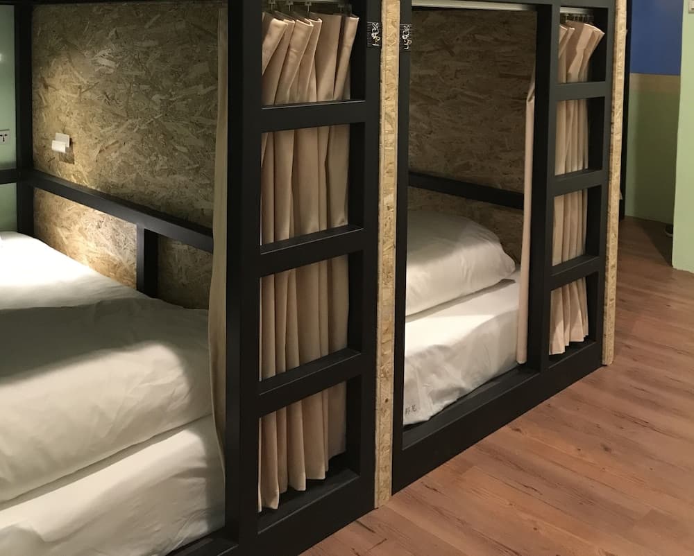 Tourist Bunny - Hostel