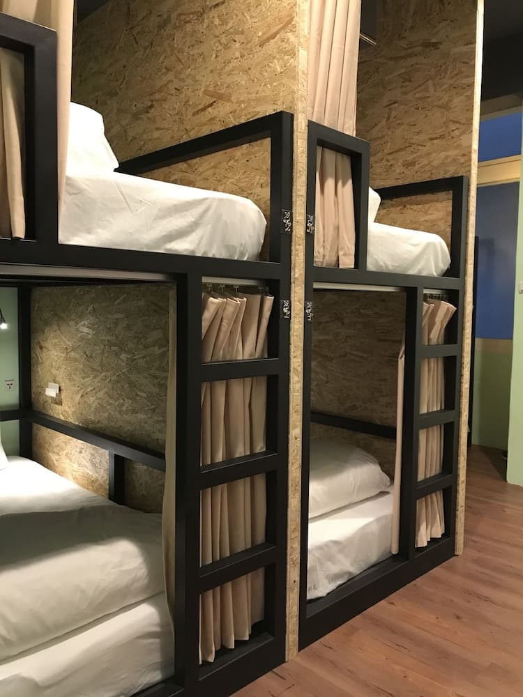 Tourist Bunny - Hostel