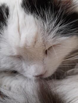 Estacion Mendoza Hostel