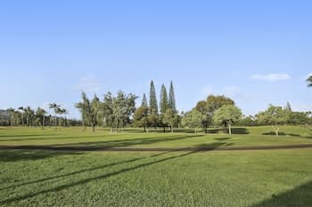 Turtle Bay Bird Of Paradise**ta-086947840001 2 Bedroom Condo by RedAwning