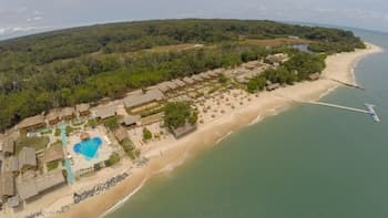 La Baie des Tortues Luth