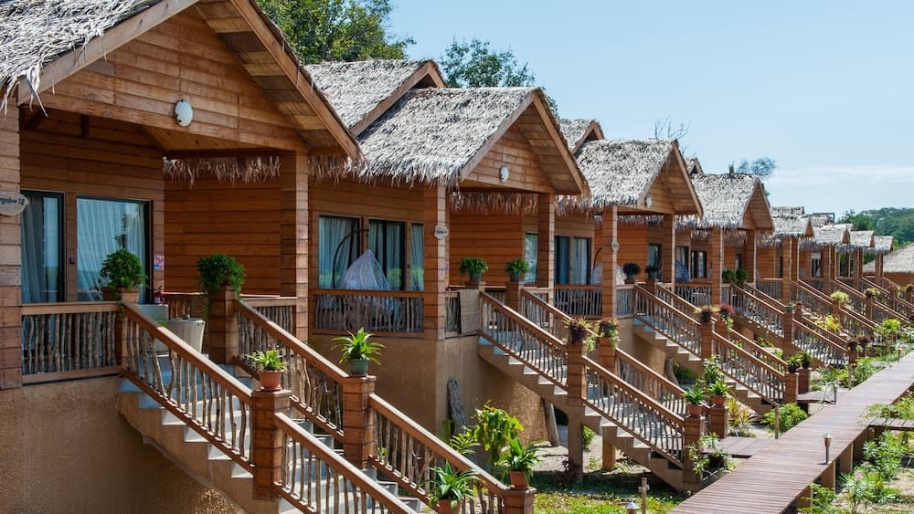 La Baie des Tortues Luth