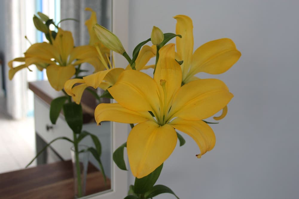 BlueSky Guest House Arniston