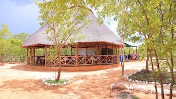 Mikumi Adventure Lodge