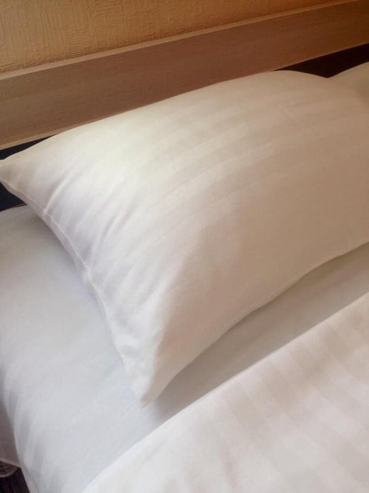 Boryspil Airport Sleep&Fly GuestHouse