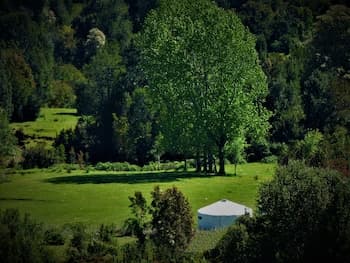 Yurt in Puyehue with Volcano Views