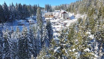 Aparthotel Forest Glade