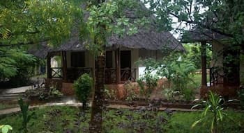 Baraka Aquarium Bungalows