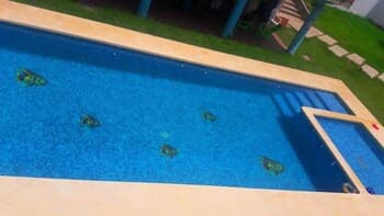 Paraiso Suite Standard