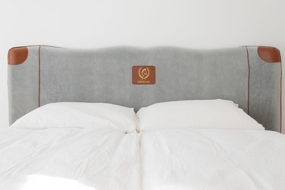 Apartment House in Vienna