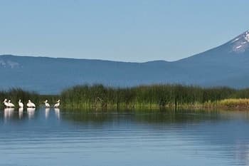 Great Smarthouse-King-Family Friendly