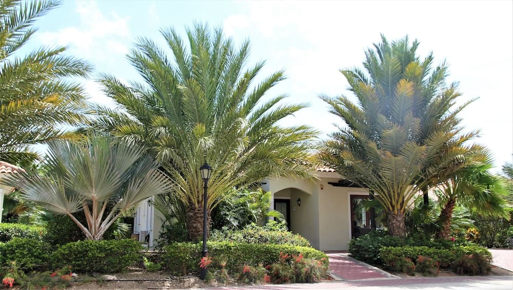 ACOYA Curacao Resort, Villas & Spa