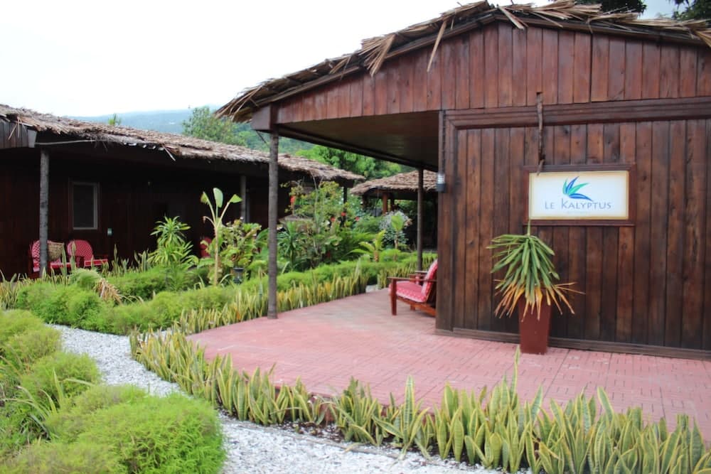Le Kalyptus