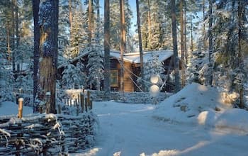 Shishki na Lampushke - Russkaya Derevnya