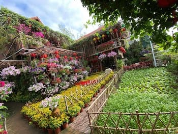 Khamy Riverside Resort