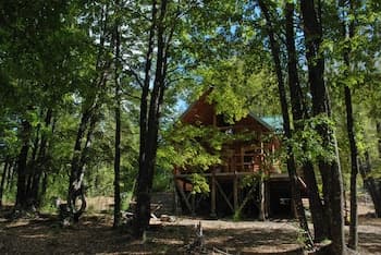 Casa Alto Palguin Pucón