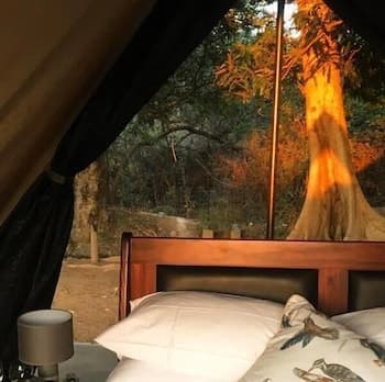 Senate Boutique Camp - Campsite