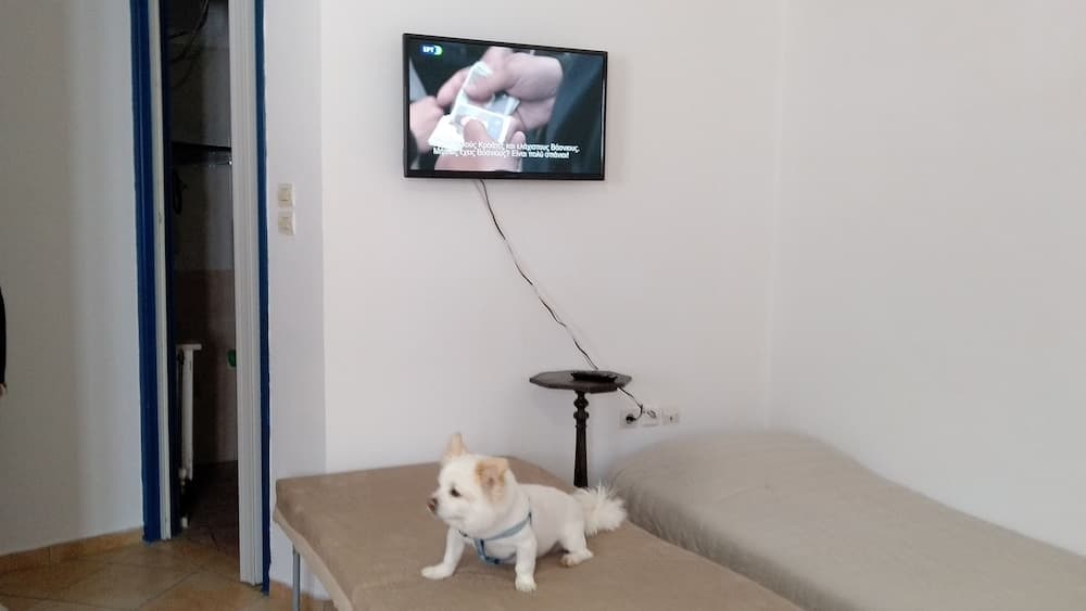 Akti Miaouli Holiday Home