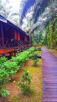 Sukau Backpackers B&B