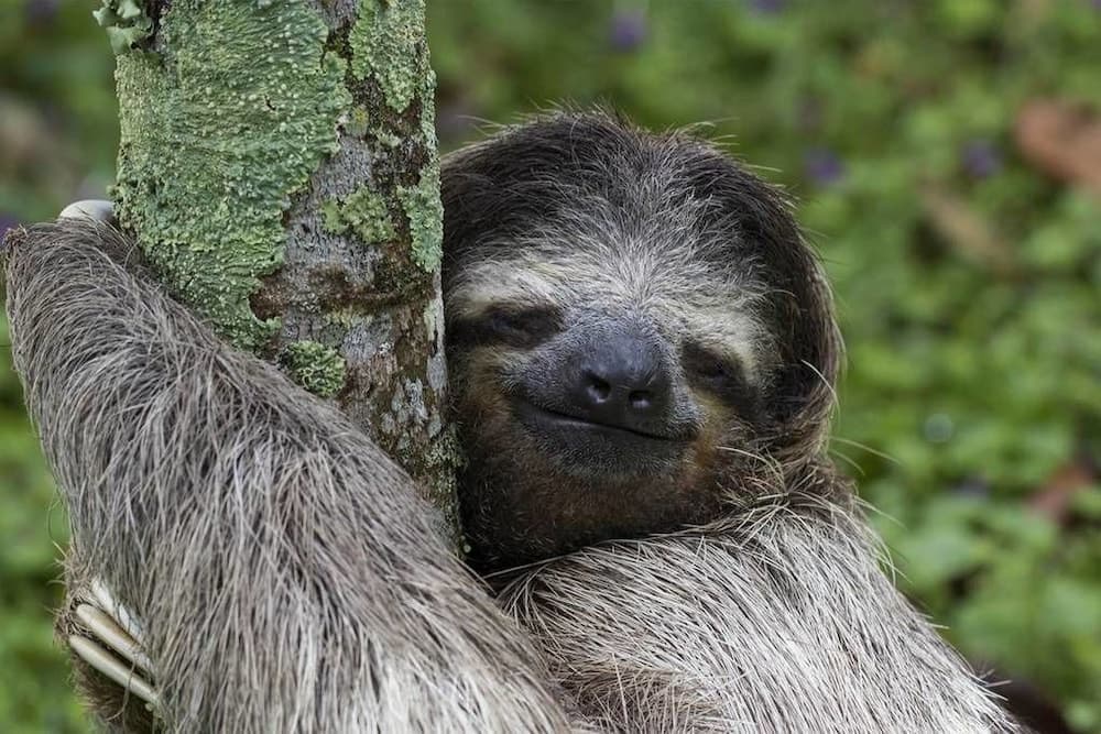 Roca Mar Playa Bonita