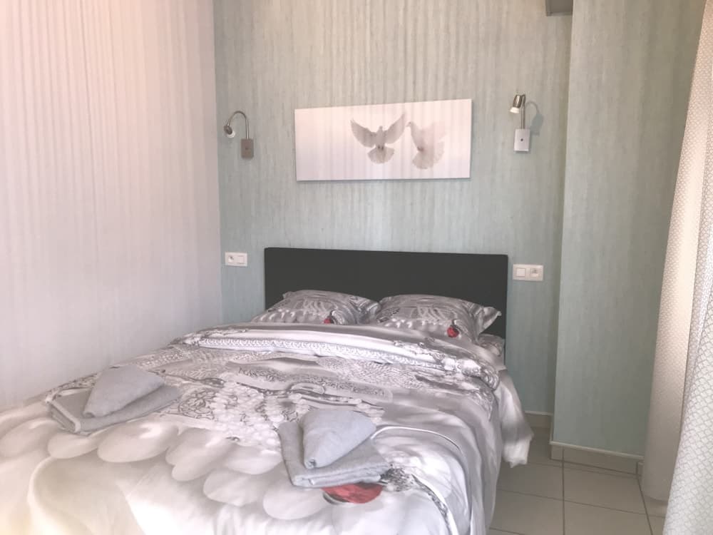 Renovated Apartment in Antwerp