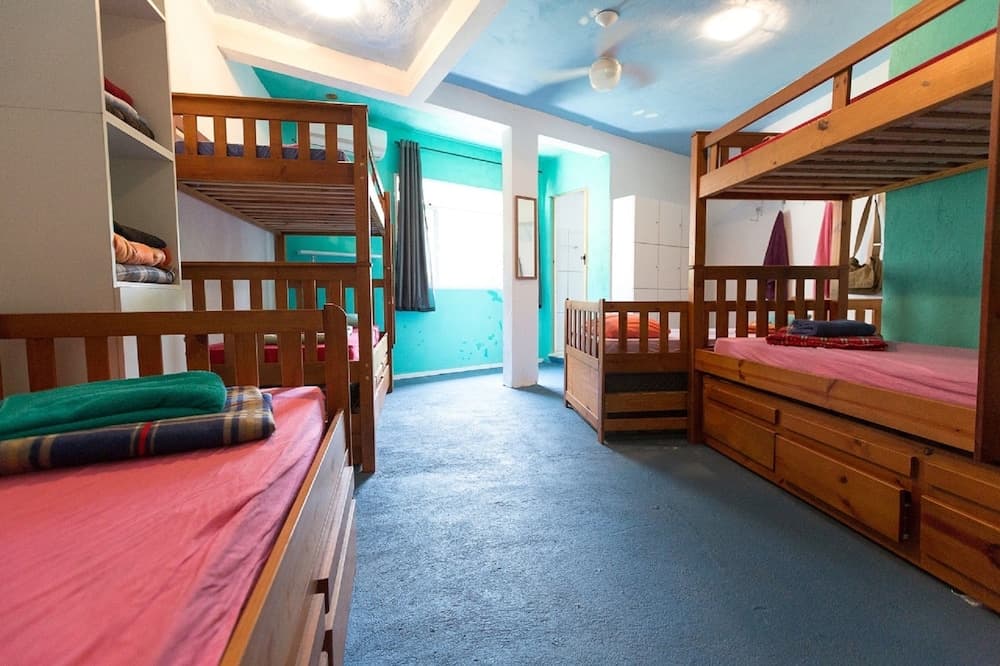 Natural Do Rio GuestHouse - Hostel