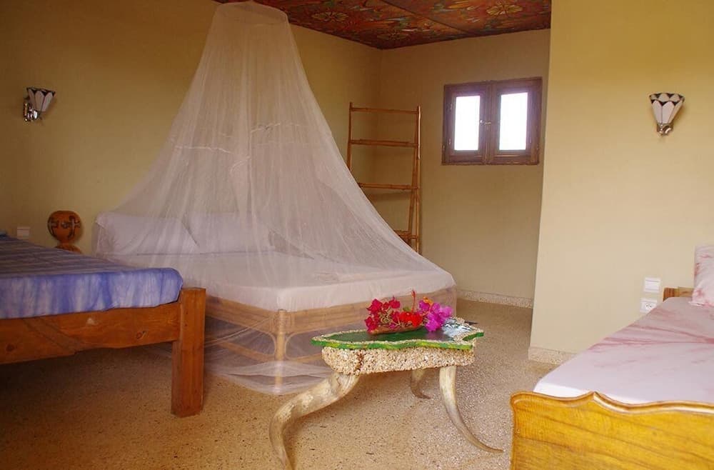 Hotel Mimosa - Hostel