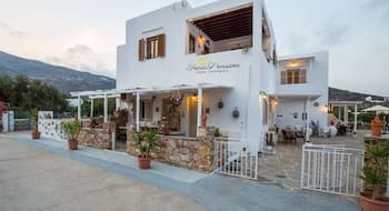 Irini Pension