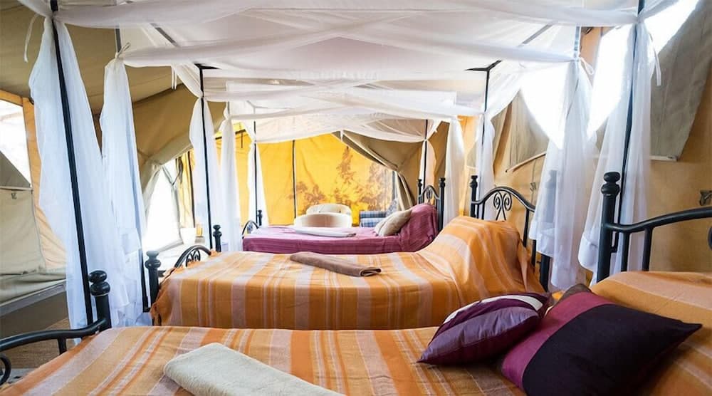 Serengeti Ikoma Wild Camp