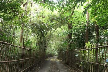 Omah Jegog Homestay - Hostel