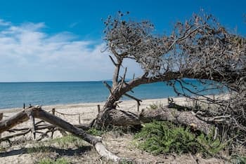 Villaggio Mare Verde