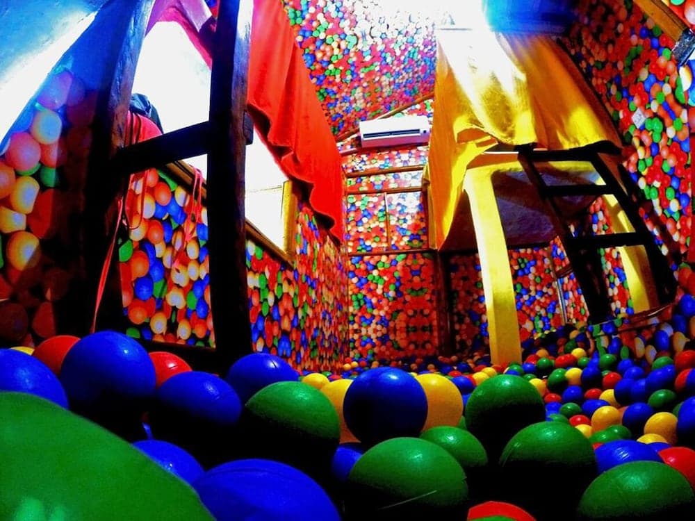 The Rabbit Tree - Hostel