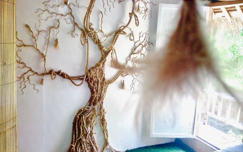 The Rabbit Tree - Hostel