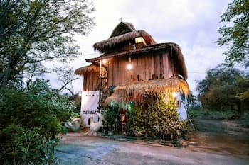 The Rabbit Tree - Hostel