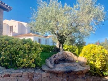 Solaria Apartment III