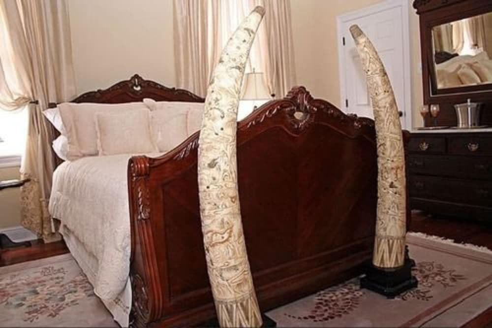 Rising Sun Bed & Breakfast