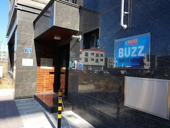 Buzz Guest House - Hostel