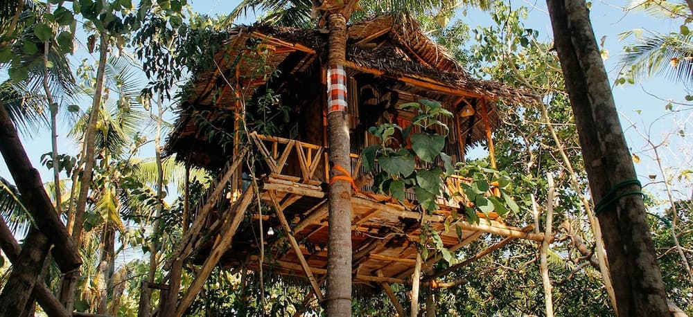 Nyuh Bengkok Tree House
