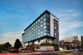 The Jacquard, Autograph Collection