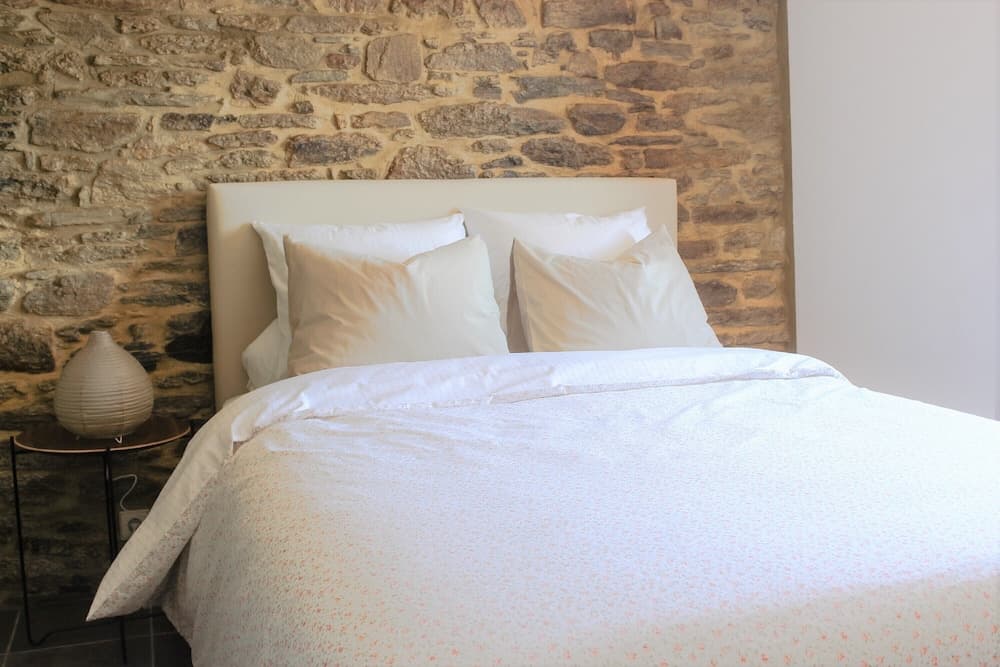 Sobreiros's Villa in Douro Valley