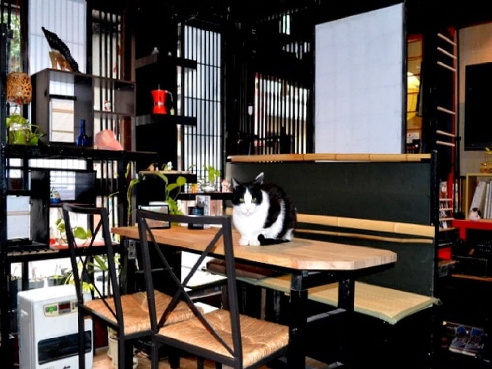 Kyoto Shirakawa Kiraku Inn - Hostel