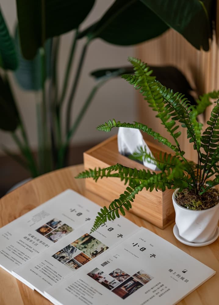 Taitung Feng lin Smart Stay