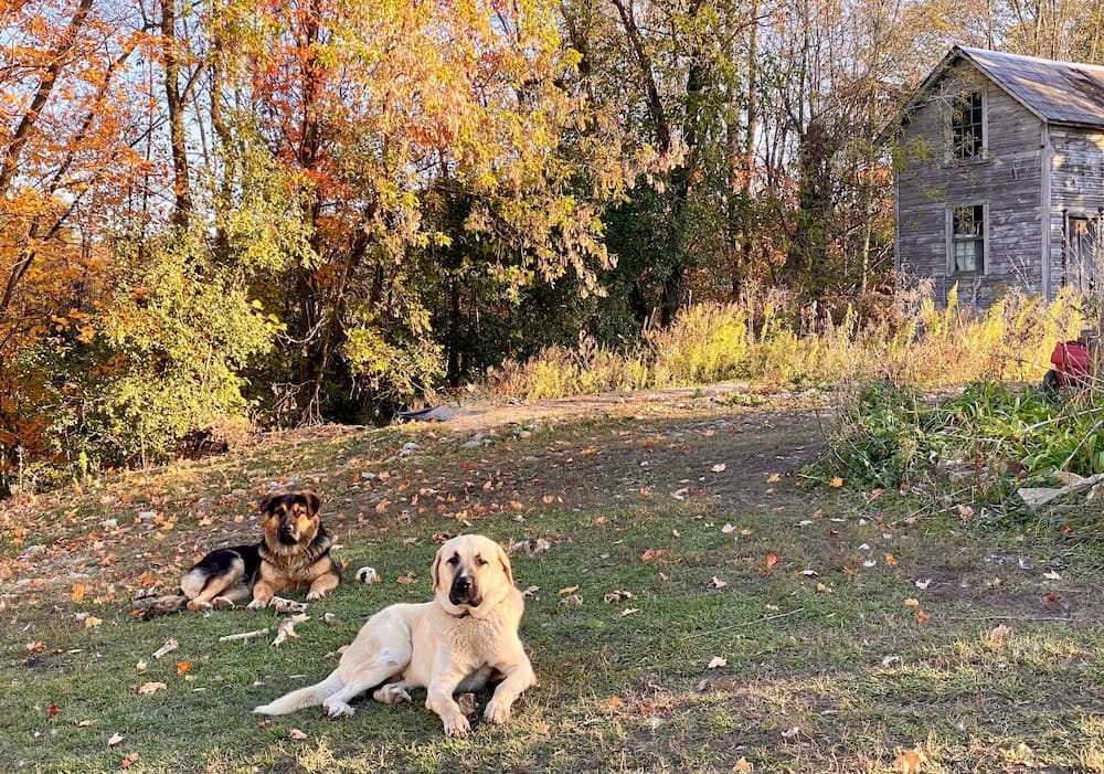 The Inn on Lake Champlain